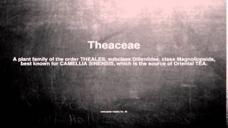 Medical vocabulary What does Theaceae mean [upl. by Tucker]