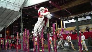 12th International Lion Dance Competition  Vietnam Performance [upl. by Phillida]