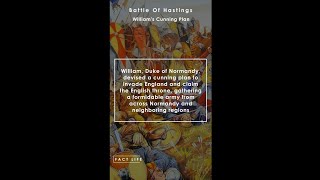 Facts About The Battle of Hastings Williams Cunning Plan shorts [upl. by Alebasi196]