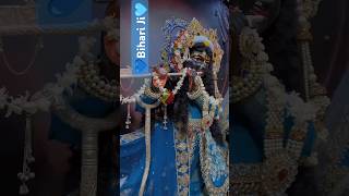 मेरे बांके बिहारी लाल🥹🙏राधाकृष्णradhakrishnavrindavanshortsfeedshortvideoyoutubeyttrending [upl. by Etnahsal]