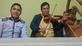 HUAYNO SENTIMENTAL ARPA amp VIOLIN  QANTUCHA DE PARINACOCHAS [upl. by Cohleen]