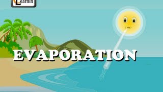 Evaporation  Elementary Science [upl. by Ssilb]