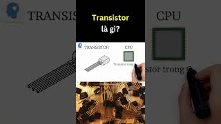 Transistor là gì  Tri thức nhân loại [upl. by Alled485]