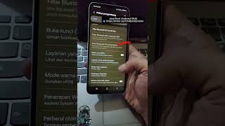 Cara Mengaktifkan Opsi Developer Di Android USB Debugging amp Buka Kunci OEM Di HP Samsung [upl. by Ricardama828]