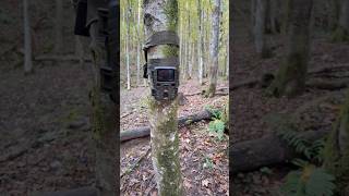 Technaxx Mini nature wild cam TX117 wildcamera wildanimals tx117 hunting [upl. by Irakuy539]