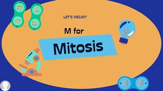 Mitosis Memory Tiplifesciencebiology examprep [upl. by Atiuqnahs]