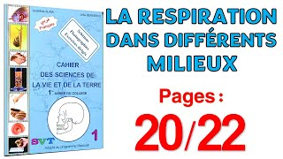 Azzedine Alami SVT 1AC Page 2024 🦗 la respiration dans différents milieux🦗 [upl. by Aisena]