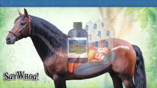 Horse Colic SayWhoa  Educational Video Horse Digestive Tract for Horse Owners [upl. by Yardna524]