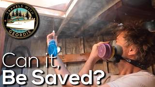 Restoring the Fo’c’sle DIY Mold Removal  Travels with Geordie Latest Episode [upl. by Devaney322]