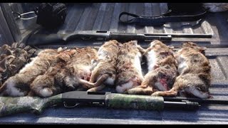 The Most AMAZING Rabbit Hunting Video EVER HD [upl. by Anselmo]