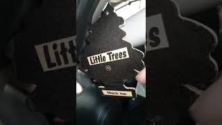 Little Trees Black Ice [upl. by Celinda798]