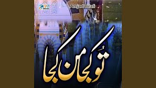 Alif Allah Chambe Di Booti [upl. by Siroved]