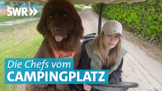 Campingplatz mit Hundeschule [upl. by Ailuig]