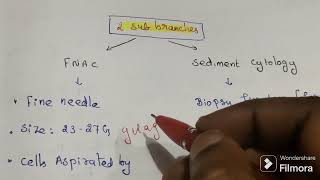 Cytopathology  Basic Introduction 1 [upl. by Luebke239]