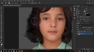 Refine Edge Brush tool In Photoshop Cc 2018 [upl. by Eillib]