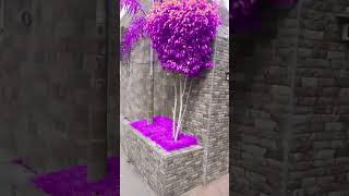 Azhagiya Laila song Nature video purple auralaila [upl. by Oiramal162]