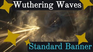 STANDARD BANNER PULLS Wuthering Waves [upl. by Cony]