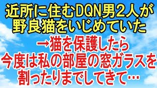 スカッとする話【因果応報・DQN】近所に住むDQN男2人が野良猫をいじめていたので保護したら→私の部屋の窓ガラスを割ったりまでエスカレートしてきた！ 【スカッとオーバーフロー】 [upl. by Pelagia49]