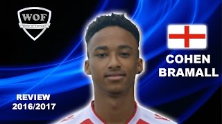 COHEN BRAMALL  Hednesford Town  Skills amp Assists  20162017 HD [upl. by Jennette]