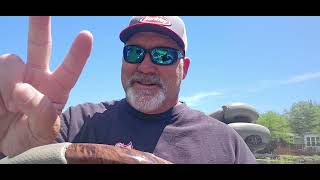 Clearlake end of May fishing report 2024 bassfishing largemouth bass biggirls [upl. by Felder]