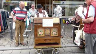 Orgues de barbarie Orgelfest Waldkirch 2014 [upl. by Wu687]