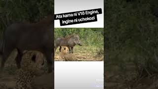 Kasongo yeye mubali nanga thw warthog [upl. by Affer624]