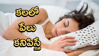 Kalalo Peelu Kanipisthe  Lice In Dreams  Kalalu Vati Phalithalu  Laxmi Devotional [upl. by Deeas377]