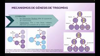 TRISOMÍAS 13 18 Y 21 SÍNDROMES KLINEFELTER Y TURNER [upl. by Anitsrhc]