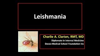 Leishmania spp [upl. by Ahserkal333]