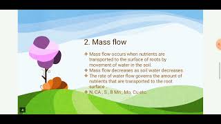 Mechanisms Of Nutrient Transport To Plants root interception  diffusion  mass Hindi Explanation [upl. by Napra]