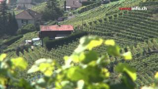 The Lavaux vineyards [upl. by Ahsyak]