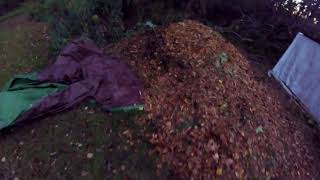 Hot compostingdry leaves and grass clippings Part 1 [upl. by Eimam]