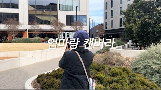 호주 vlog  시드니 캔버라 근교 bowral 가기 먹고 또 먹기 [upl. by Anagrom]