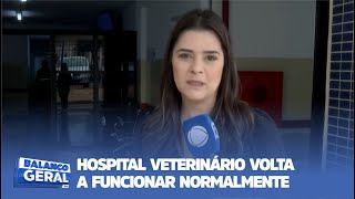 HOSPITAL VETERINÁRIO VOLTA A FUNCIONAR NORMALMENTE [upl. by Yeldah]