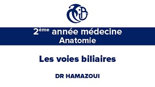 2ème année médecine Anatomie Les voies biliaires [upl. by Airamat]