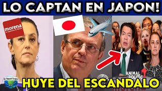 EBRARD DEJA EL CARGO TIRADO ¡MÉXICO RECIBE DEMANDA POR 220 MDD [upl. by Anyr821]