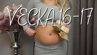 GRAVID  VECKA 1617 [upl. by Miquela122]