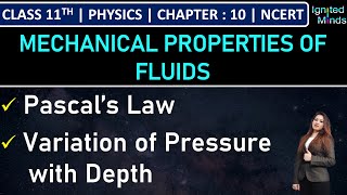 Class 11th Physics  Pascal’s Law  Variation of Pressure with Depth  Example 102  Chapter 10 [upl. by Gaynor]