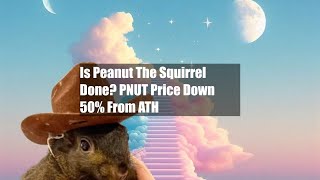 Is Peanut The Squirrel Done PNUT Price Down 50 From ATH [upl. by Ericka]