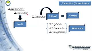 Anomalías Cromosómicas Numéricas y Estructurales  Parte No3 [upl. by Celesta]