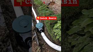 How Close to Downspout should Catch Basin be [upl. by Borchers783]