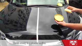 carnauba car wax [upl. by Yeltnarb427]