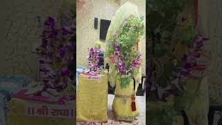 Tulsi Vivah Geet  तुलसी विवाह गीत  tulsi tulsivivah tulsipooja geet krishna तुलसी bhajan [upl. by Eriha]