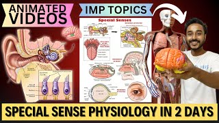 special sense physiology in 2 days  how to study special sense physiology important topics [upl. by Aldin23]