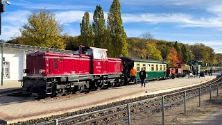 251 9015 mit Arbeitszug in Binz [upl. by Bruning582]