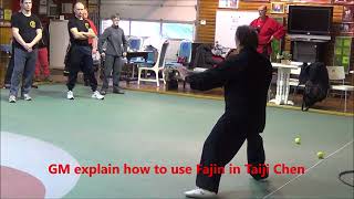 GM Walter Toch shows the biomechanic of punch in Taiji Chen on his workshop [upl. by Tarryn]