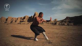 Shaolin 5 Fundamental Stances [upl. by Eillit]