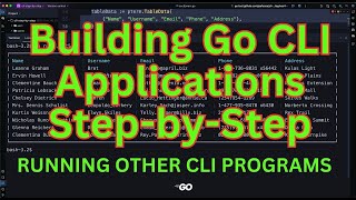 Building Golang CLI Applications From 0 to 1000 Stars 7 [upl. by Jaehne769]