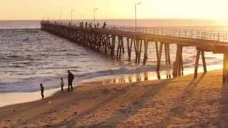 Immerse yourself in Encounter Marine Park  Noarlunga [upl. by Cappella51]