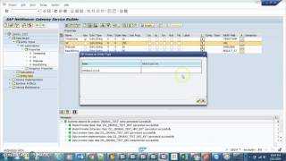 SAP Gateway Create Odata service using RFC [upl. by Ynohtnaleahcim]